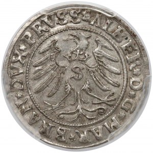 Albrecht Hohenzollern, Grosz Królewiec 1531 - PCGS AU58