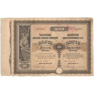 Sierszańskie Zakłady Górnicze, 200 koron 1907