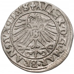 Prusy, Albrecht Hohenzollern, Grosz Królewiec 1548 (R3)
