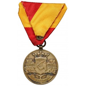 Bosnia & Herzegovina Medal, 1909