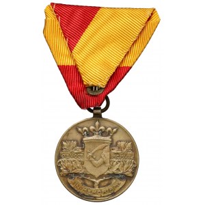 Medal za Bośnię i Hercegowinę, 1909