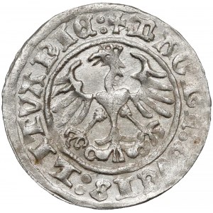 Zygmunt I Stary, Półgrosz Wilno 1511 - piękny