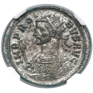 Probus, Antoninian Rzym (276-282) - Sol - NGC MS