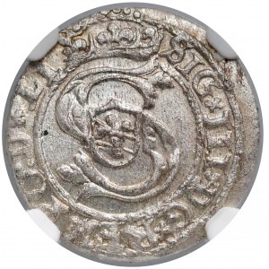 Zygmunt III Waza, Szeląg Ryga 1600 - 600 - NGC MS63