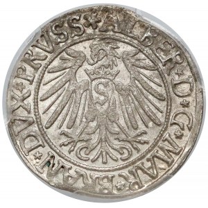 Prusy, Albrecht Hohenzollern, Grosz Królewiec 1538 - PCGS MS62