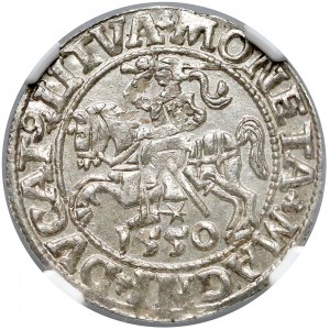 Zygmunt II August, Półgrosz Wilno 1550 - PIĘKNY - NGC MS65