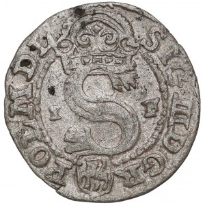 Zygmunt III Waza, Szeląg Olkusz 1591 IF - przejściowy 