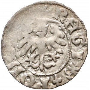 Władysław II Jagiełło, Półgrosz Kraków - znaki ‡F - RZADKOŚĆ