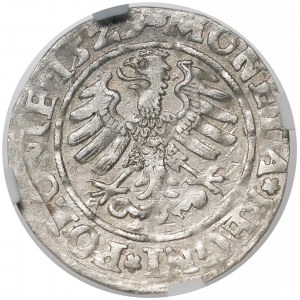 Zygmunt I Stary, Grosz Kraków 1529 - NGC AU58