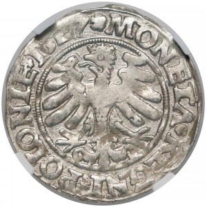 Zygmunt I Stary, Grosz Kraków 1527 - NGC MS61