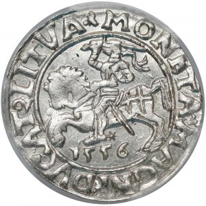 Zygmunt II August, Półgrosz Wilno 1556 - PCGS MS64