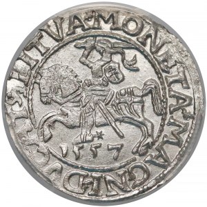Zygmunt II August, Półgrosz Wilno 1557 - PCGS MS63