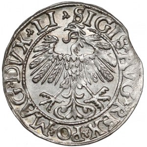 Zygmunt II August, Półgrosz Wilno 1558 - LITV - piękny