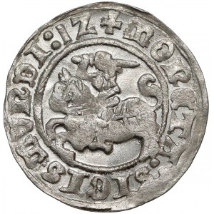 Zygmunt I Stary, Półgrosz Wilno 1512 - piękny
