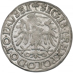 Zygmunt I Stary, Grosz Elbląg 1540 - ostatni 
