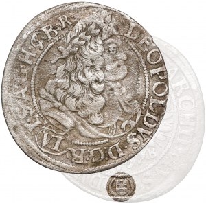 Śląsk, Leopold I, Brzeg, 6 krajcarów 1677 CB - z herbem - RZADKIE