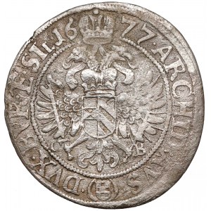 Śląsk, Leopold I, Brzeg, 6 krajcarów 1677 CB - z herbem - RZADKIE