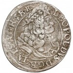 Śląsk, Leopold I, Brzeg, 6 krajcarów 1677 CB - z herbem - RZADKIE