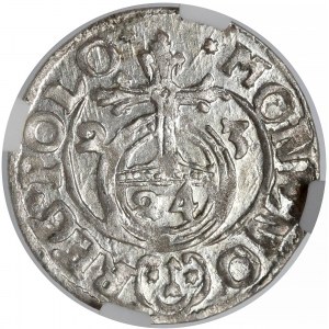 Zygmunt III Waza, Półtorak Bydgoszcz 1623 - PIĘKNY - NGC MS65