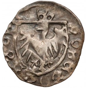 Ks. Cieszyńskie, Kazimierz II (1460-1528) Halerz Cieszyn - ukoronowane T