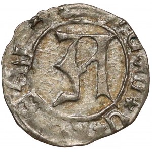 Ks. Kozielskie, Konrad VII Biały (1416-1450) Halerz Koźle - litera A - piękny