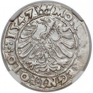 Zygmunt I Stary, Grosz Kraków 1547 ST - NGC MS61