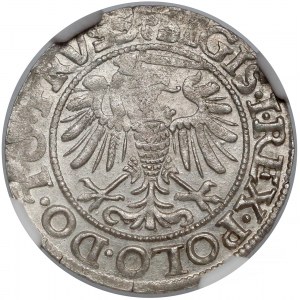 Zygmunt I Stary, Grosz Elbląg 1539 - NGC MS63