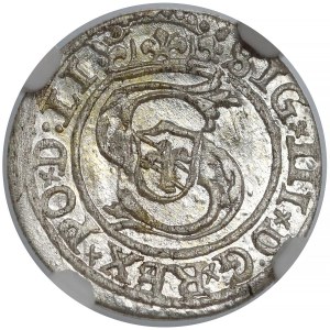 Zygmunt III Waza, Szeląg Ryga 1599 - NGC MS63