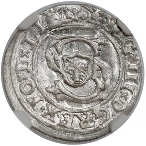 Zygmunt III Waza, Szeląg Ryga 1599 - NGC MS64