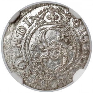 Zygmunt III Waza, Szeląg Ryga 1620 - data na Aw. - NGC MS64
