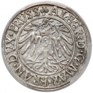 Prusy, Albrecht Hohenzollern, Grosz Królewiec 1541 - PCGS AU58