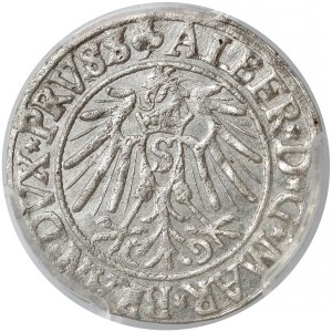 Prusy, Albrecht Hohenzollern, Grosz Królewiec 1541 - PCGS MS62