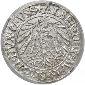 Prusy, Albrecht Hohenzollern, Grosz Królewiec 1540 - PCGS MS62