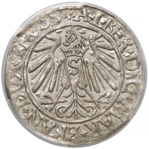 Prusy, Albrecht Hohenzollern, Grosz Królewiec 1539 - PCGS MS62