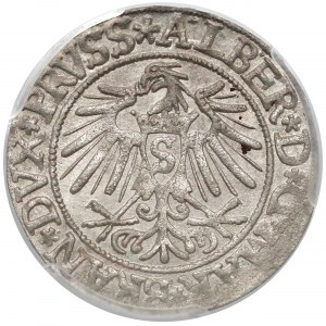 Prusy, Albrecht Hohenzollern, Grosz Królewiec 1537 - PCGS MS62