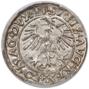 Zygmunt II August, Półgrosz Wilno 1553 - duża data - PCGS MS63