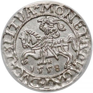 Zygmunt II August, Półgrosz Wilno 1558 - LITVA - PCGS MS63
