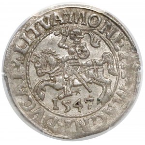 Zygmunt II August, Półgrosz Wilno 1547 - PCGS MS62