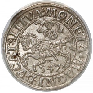 Zygmunt II August, Półgrosz Wilno 1547 - PCGS MS64