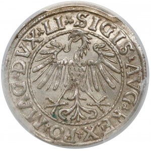 Zygmunt II August, Półgrosz Wilno 1547 - PCGS MS64