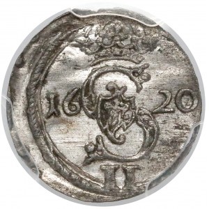 Zygmunt III Waza, Dwudenar Wilno 1620 - PCGS MS63