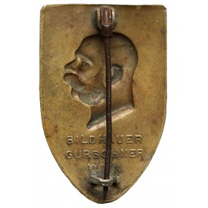 Odznaka 4. Armii, Kampania 1914-15