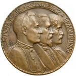 Medal BRĄZ Polonia Devastata 1915 (J. Wysocki) - RZADKOŚĆ