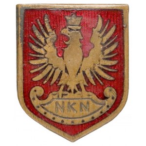 Odznaka Naczelnego Komitetu Narodowego