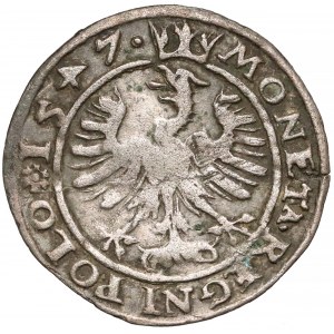 Zygmunt I Stary, Grosz Kraków 1547 - leżące 4