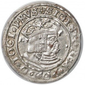 Zygmunt I Stary, Grosz Toruń 1529 - 15Z9/9 - PCGS MS62