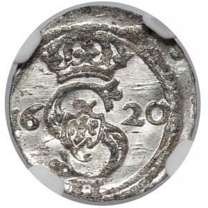 Zygmunt III Waza, Dwudenar Wilno 1620 - NGC MS63