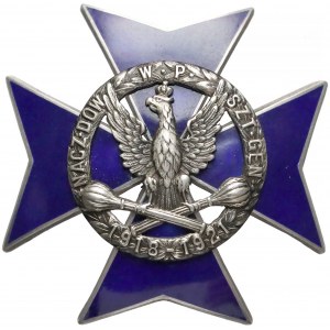 Odznaka, Naczelne Dowództwo Wojska Polskiego (1919)