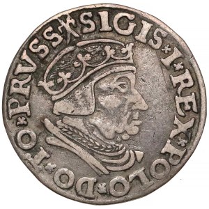 Zygmunt I Stary, Trojak Gdańsk 1537 - w czepcu
