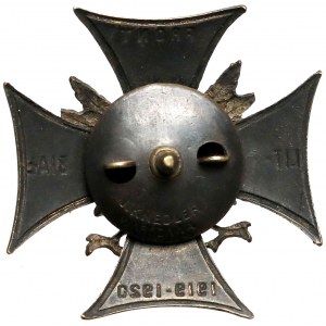 Odznaka, Front Litewsko-Białoruski 1919-1920